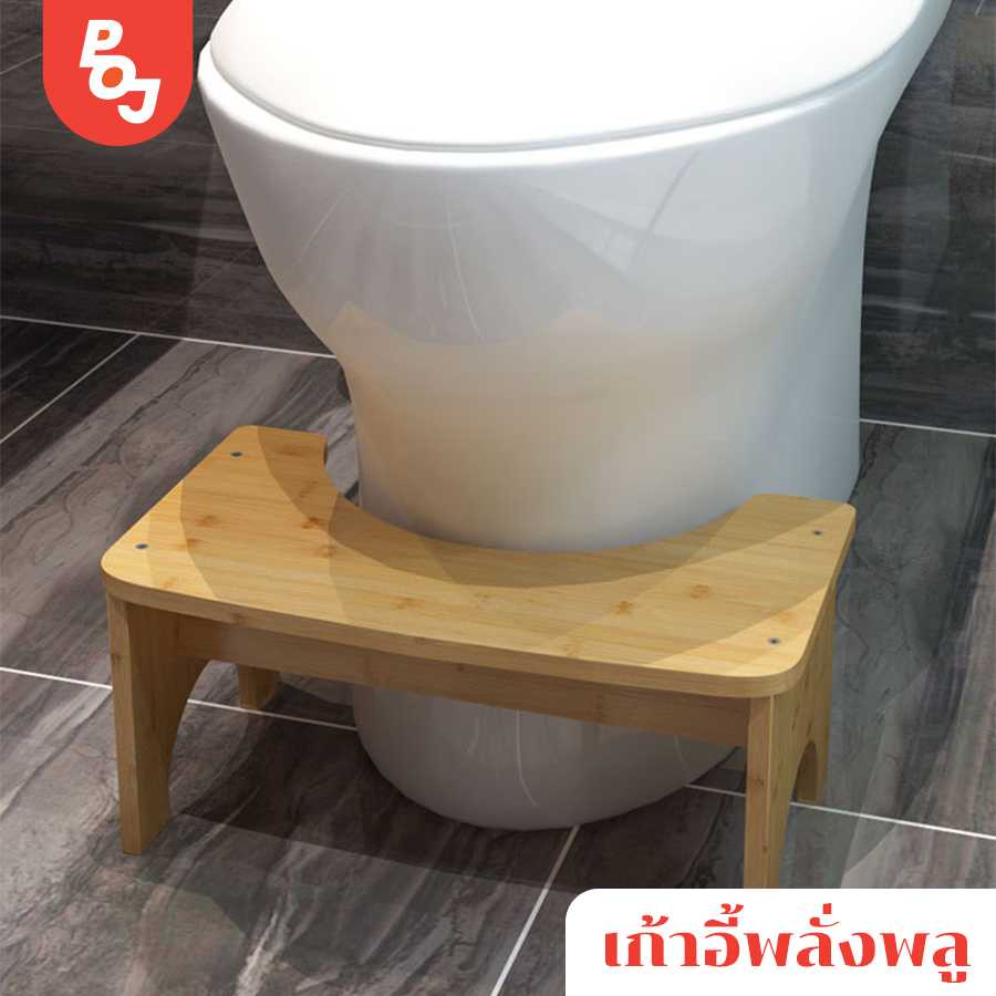 [พร้อมส่ง] เก้าอี้พลั่งพลู