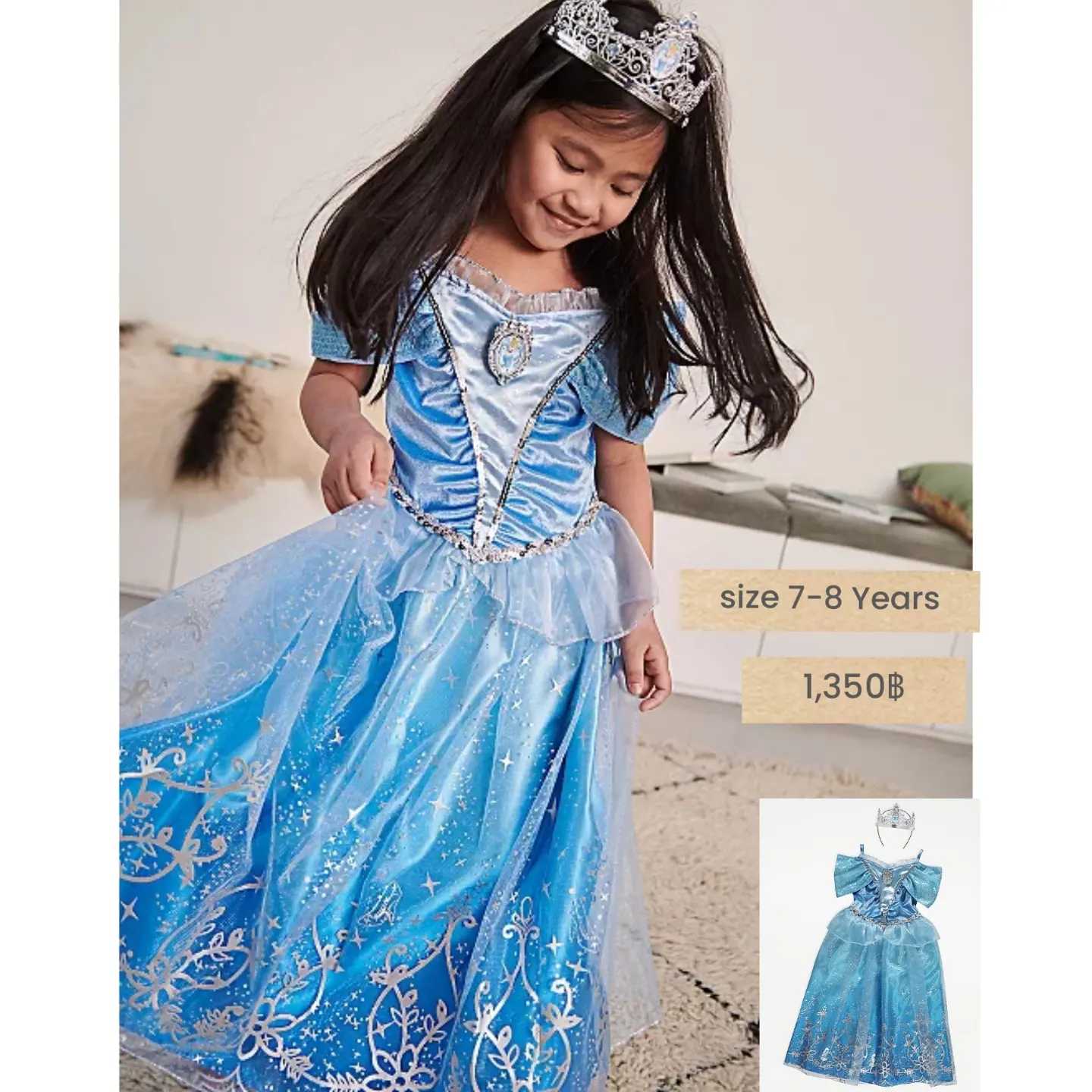 Disney Princess Cinderella Blue Fancy Dress Outfit