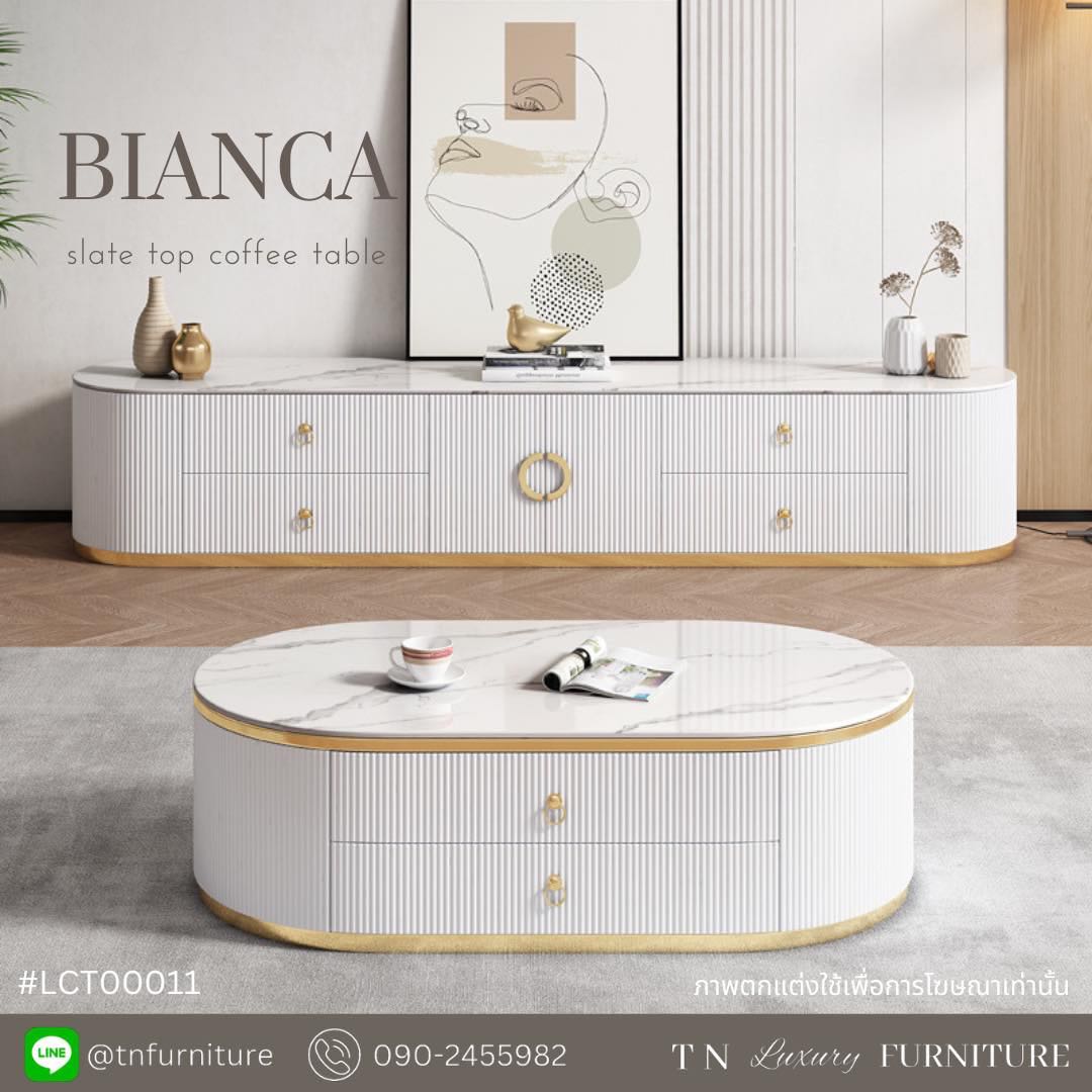 BIANCA slate top coffee table