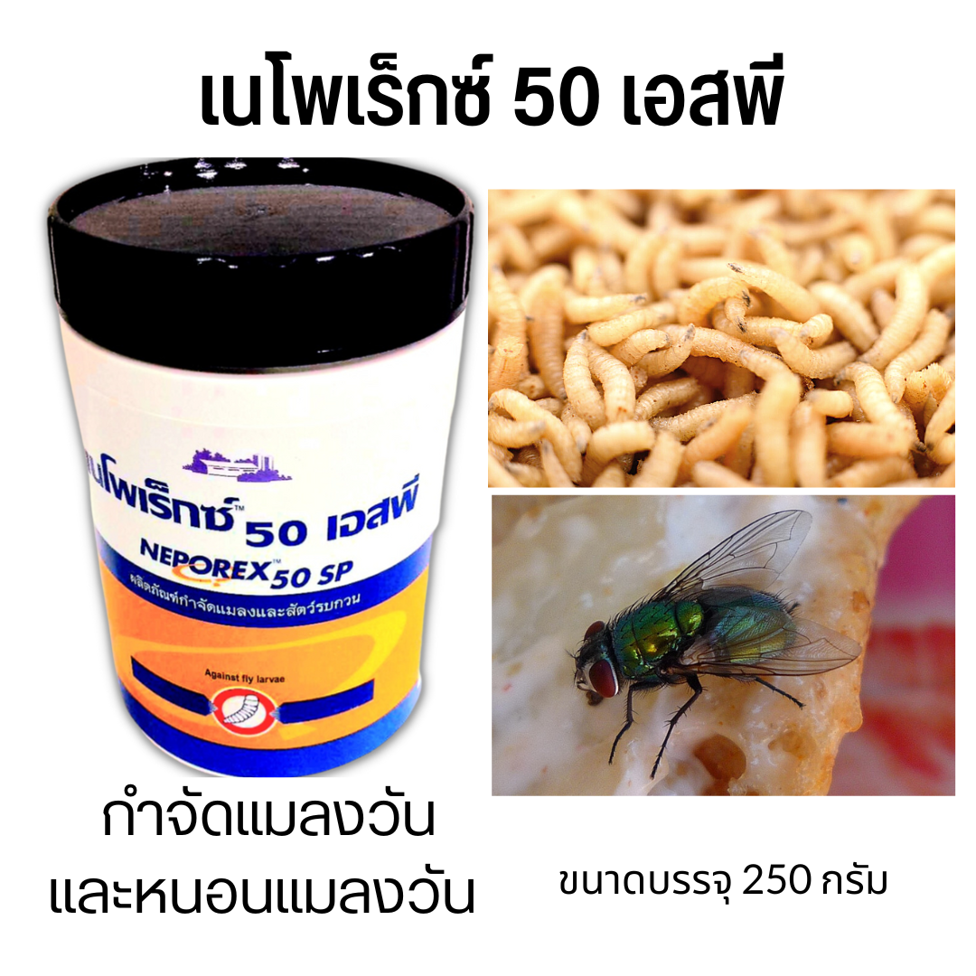 An Image