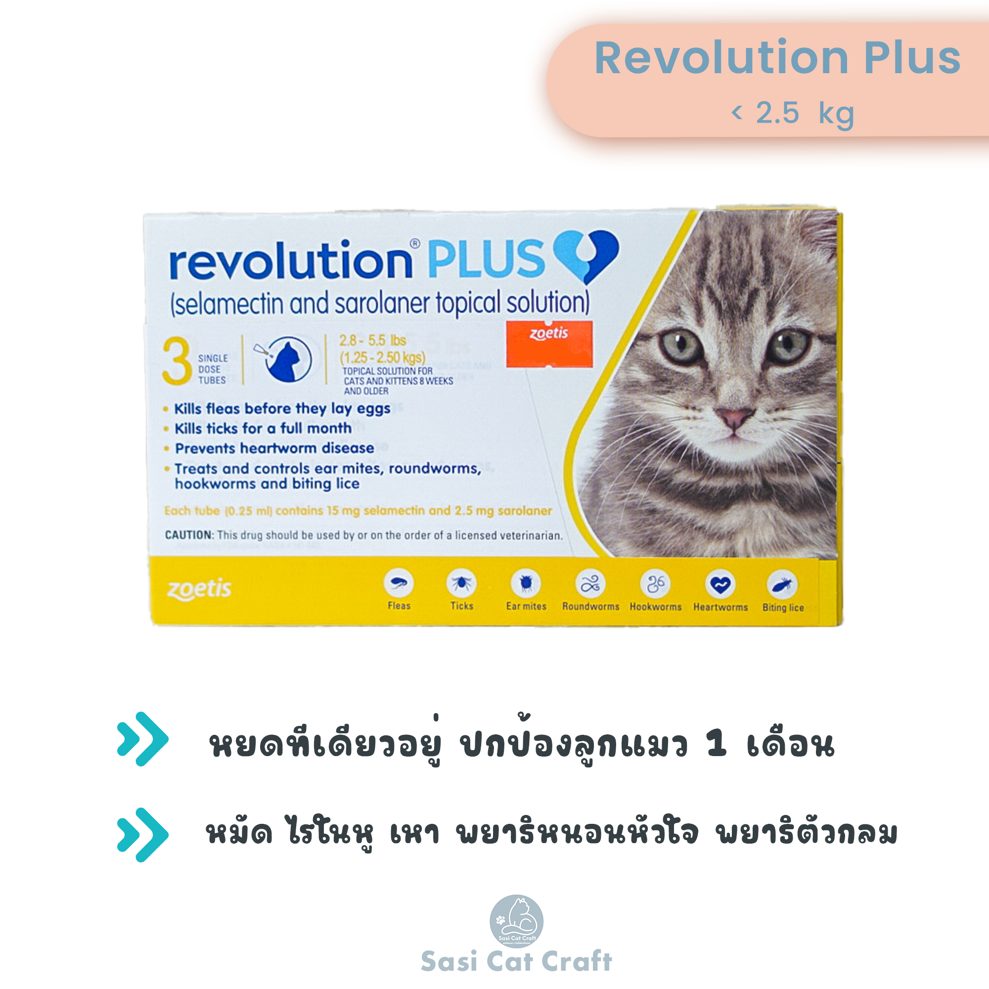Revolution plus 1.25 - 2.5 kg ยาหยอดหลังคอแมวรายเดือน เรโวลูชั่น พลัส แมวน้ำหนัก 1.25 - 2.5 kg