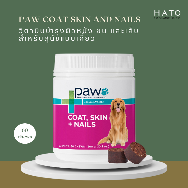 PAW Coat, Skin + Nails™ Multivitamin Chews : วิตามินบำรุงผิวหนัง ขน และเล็บ สำหรับสุนัขแบบเคี่้ยว