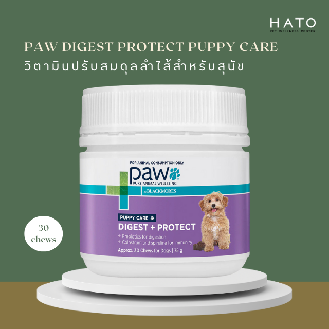 PAW DigestiCare™ : วิตามินปรับสมดุลลำไส้สำหรับสุนัข Exp.14/04/25