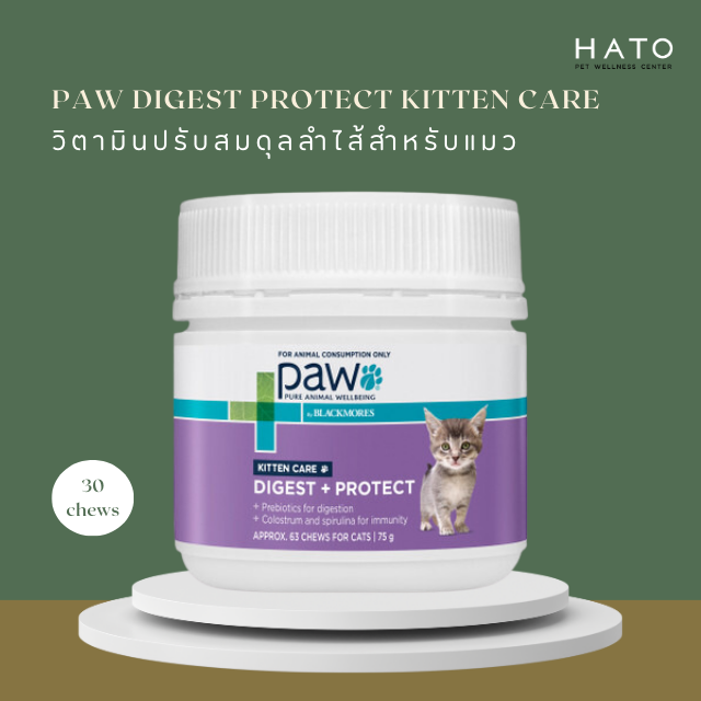 PAW DigestiCare™ : วิตามินปรับสมดุลลำไส้สำหรับแมว