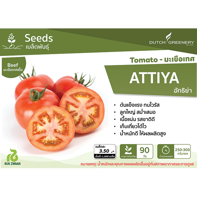 Tomato - Attiya RZ F1