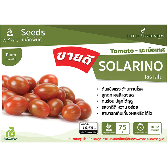 Tomato - Solarino RZ F1