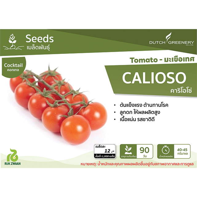 Tomato - Calioso