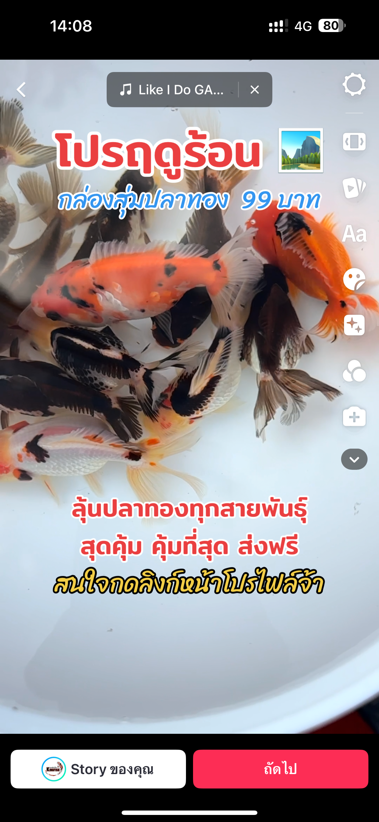 กล่องสุ่มปลาทอง 99 ส่งฟรี เก็บเงินปลายทาง